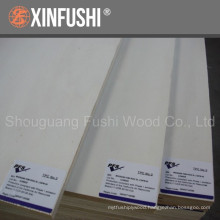 white popalr plywood used for furniture